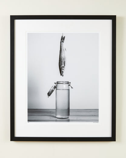 Fish Out Of Water 16x20" - Unframed