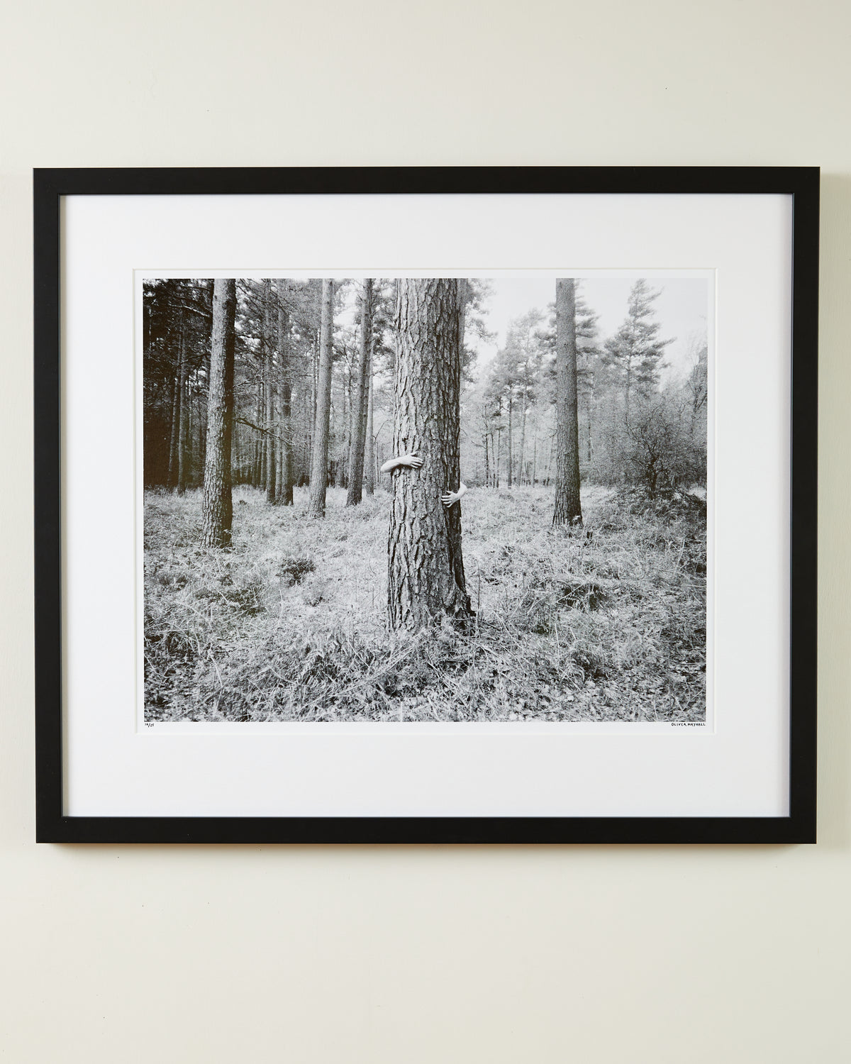 Tree Hugger - 16x20" - Unframed